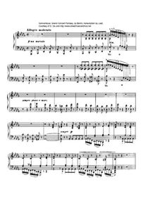 Grand concert, Fantaisie sur la somnambule - Franz Liszt